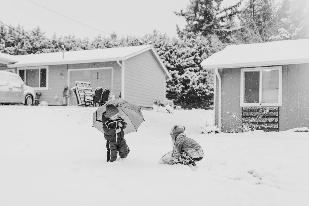 black and white brothers playing in the snow